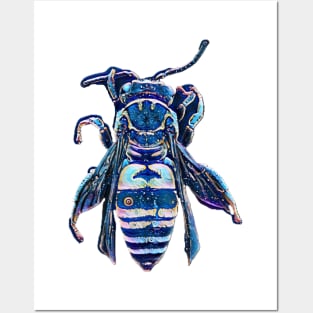 Blue moth bee wasp insect Posters and Art